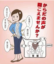 senkotsu01